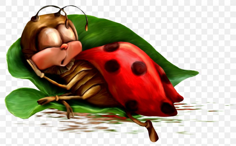 Night Animation Morning Photography, PNG, 2833x1754px, Night, Animation, Arthropod, Beetle, Day Download Free