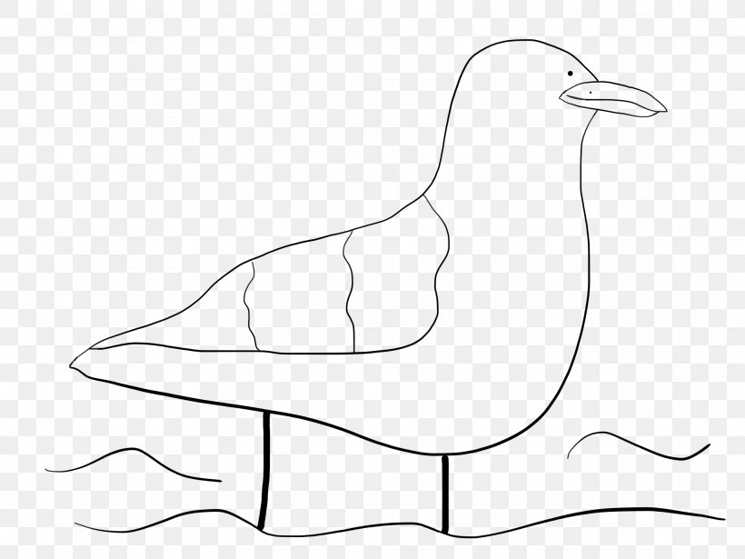 Beak Drawing Line Art Water Bird Clip Art, PNG, 2048x1536px, Watercolor, Cartoon, Flower, Frame, Heart Download Free