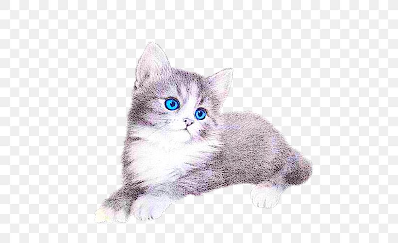 Cat Kitten Clip Art, PNG, 500x500px, Cat, American Shorthair, American Wirehair, Animal, Asian Download Free