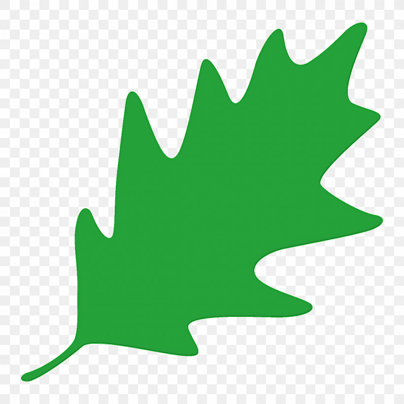 Maple Leaf, PNG, 1200x1200px, Oak Leaf, Cartoon Leaf, Green, Leaf, Maple Leaf Download Free