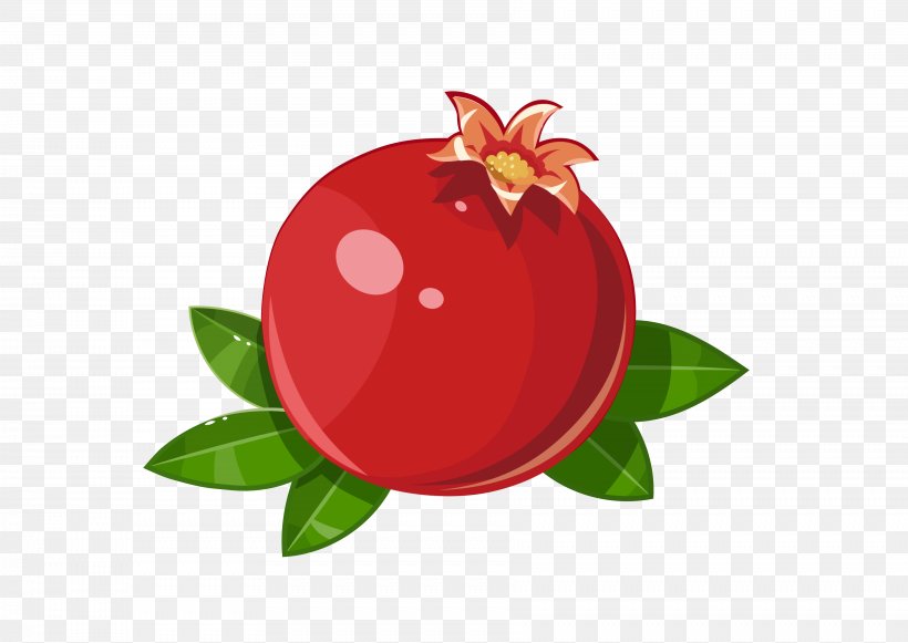 Pomegranate Frutti Di Bosco Fruit Illustration, PNG, 3608x2558px, Pomegranate, Apple, Food, Fruit, Frutti Di Bosco Download Free