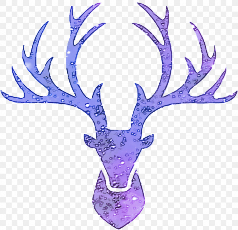 Reindeer, PNG, 1024x994px, Horn, Antler, Deer, Elk, Head Download Free