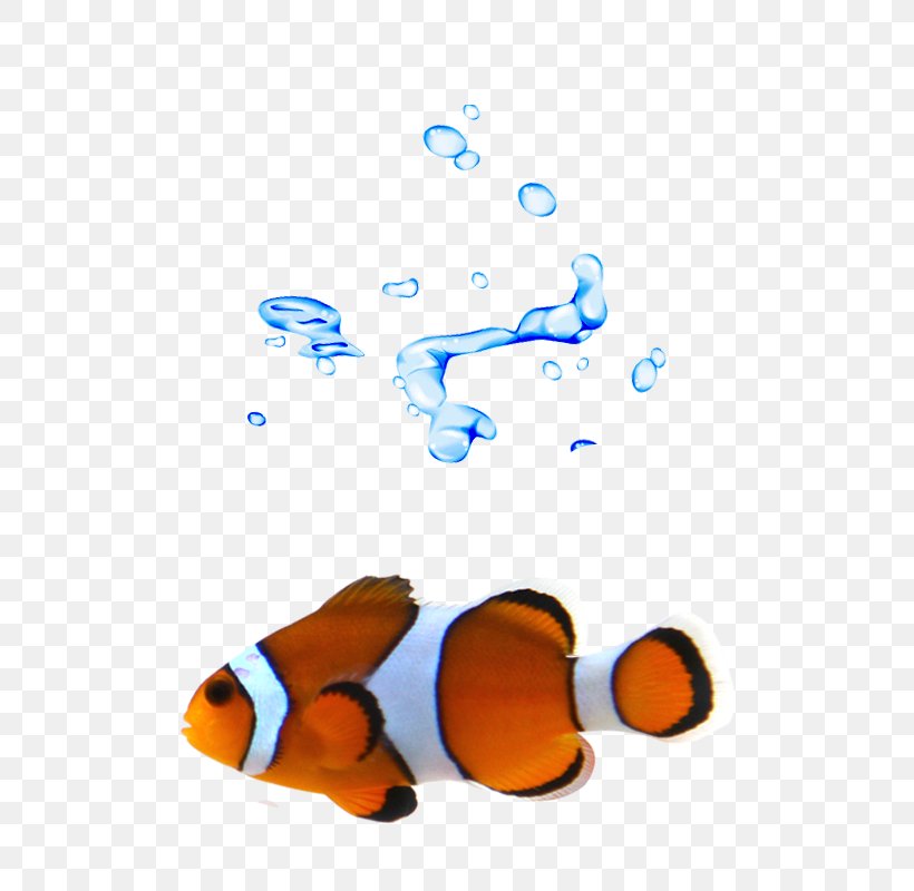 T-shirt Clownfish, PNG, 800x800px, Tshirt, Black And White, Clownfish, Designer, Fish Download Free
