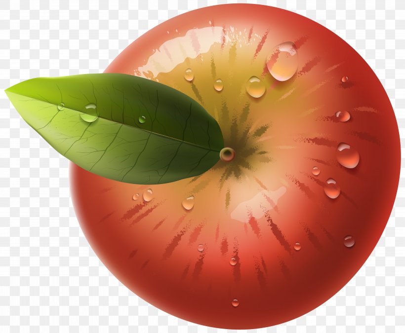Apple Computer Software Clip Art, PNG, 6000x4943px, Apple, Computer Network, Computer Software, Food, Fruit Download Free