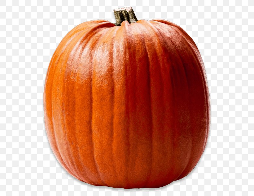 Jack-o'-lantern Calabaza Gourd Winter Squash Pumpkin, PNG, 580x635px, Calabaza, Auglis, Carving, Cucumber Gourd And Melon Family, Cucurbita Download Free