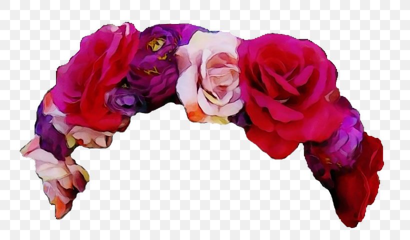 Rose, PNG, 788x480px, Watercolor, Fashion Accessory, Flower, Hair Accessory, Magenta Download Free