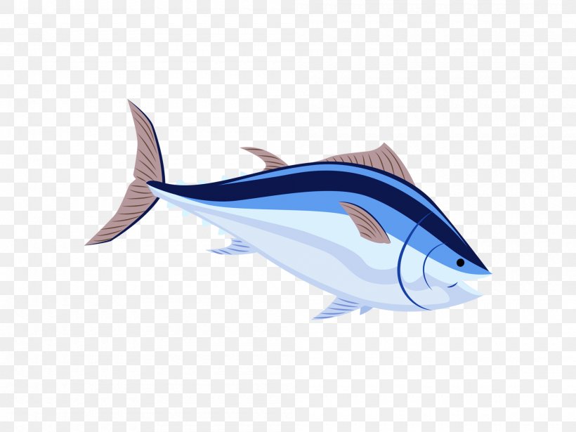 Seafood, PNG, 2000x1500px, Seafood, Blue, Cartilaginous Fish, Cartoon, Dolphin Download Free