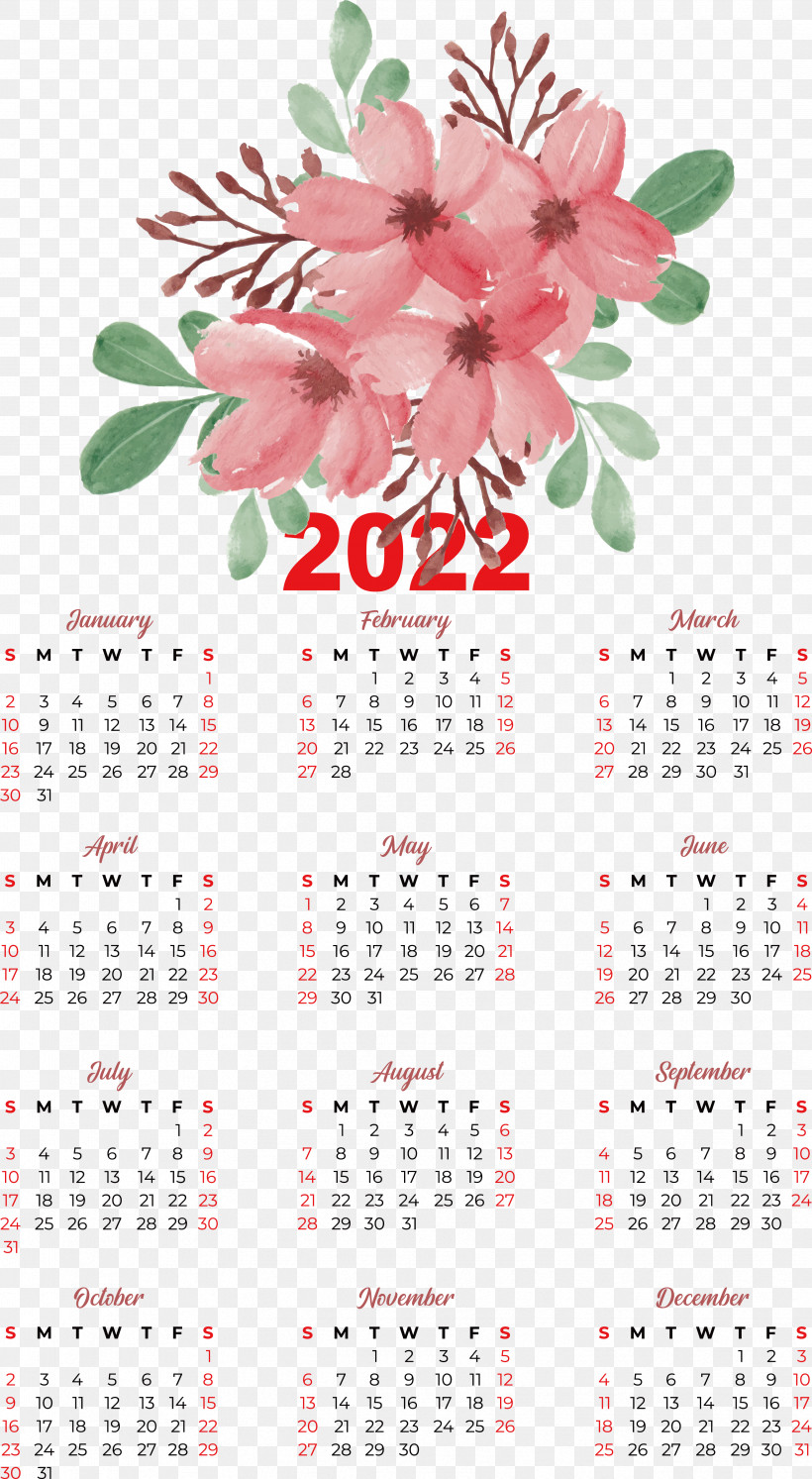 Flower Calendar Petal Meter Plant, PNG, 3449x6282px, Flower, Biology, Calendar, Meter, Petal Download Free
