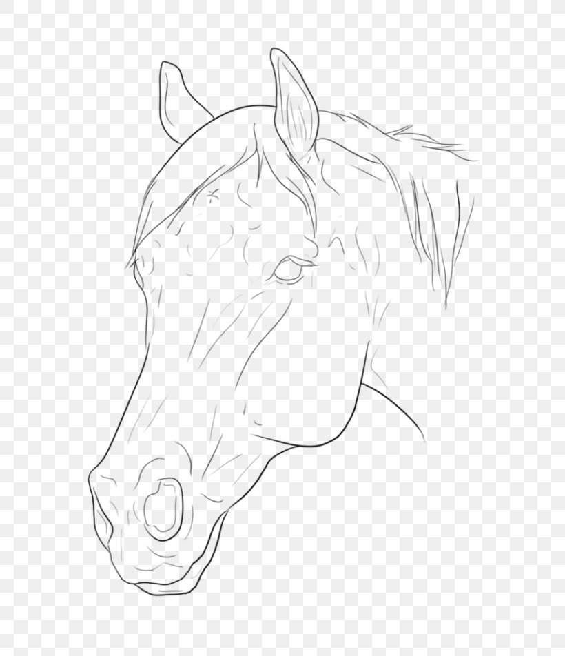 Halter Mane Pony Bridle Sketch, PNG, 765x952px, Halter, Arm, Artwork, Black, Black And White Download Free