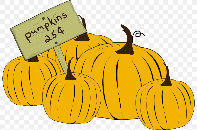Jack-o'-lantern Pumpkin Time Winter Squash Gourd, PNG, 800x543px, Watercolor, Cartoon, Flower, Frame, Heart Download Free