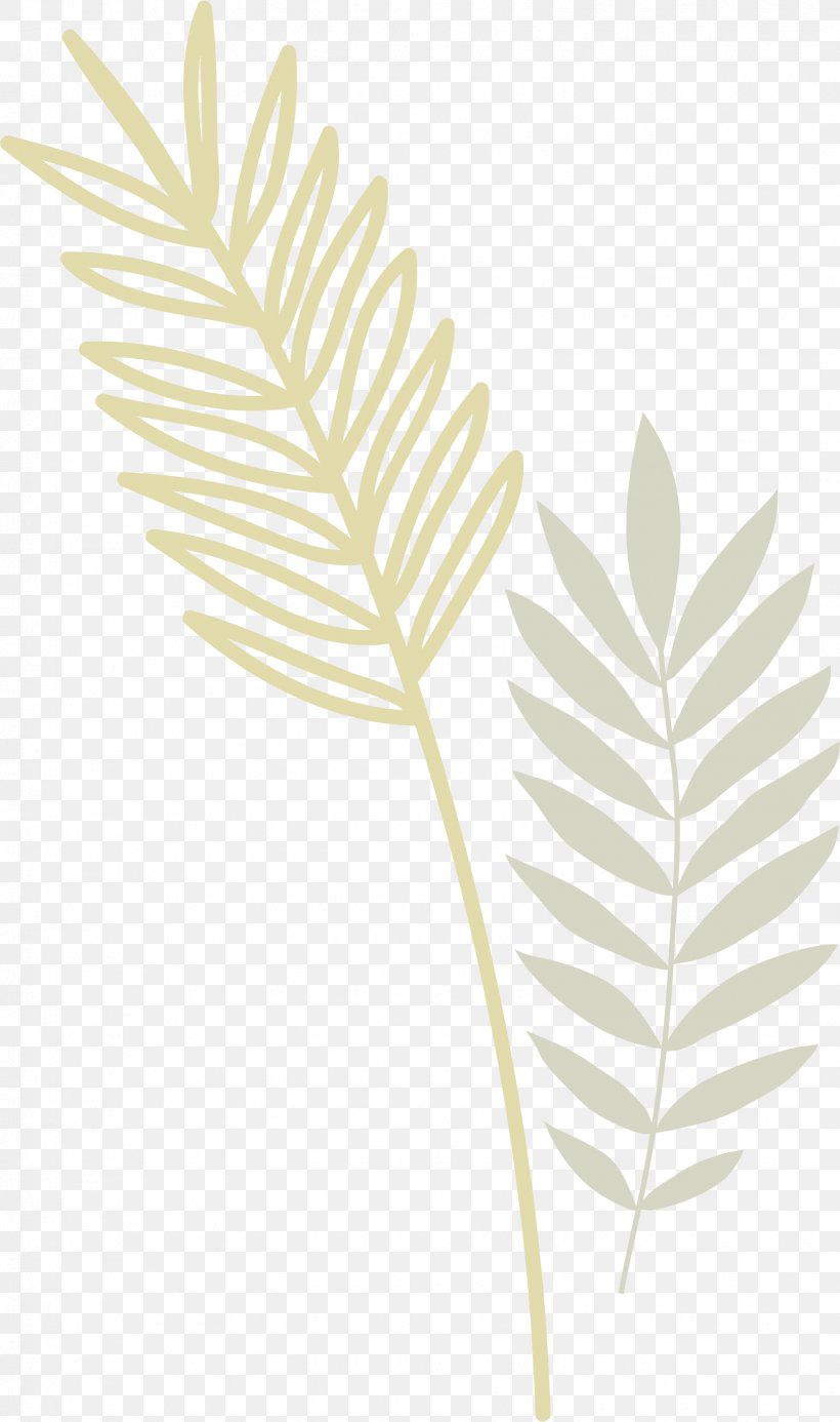 Leaf Euclidean Vector, PNG, 1630x2756px, Leaf, Family, Grass Family, Grasses, Pattern Download Free