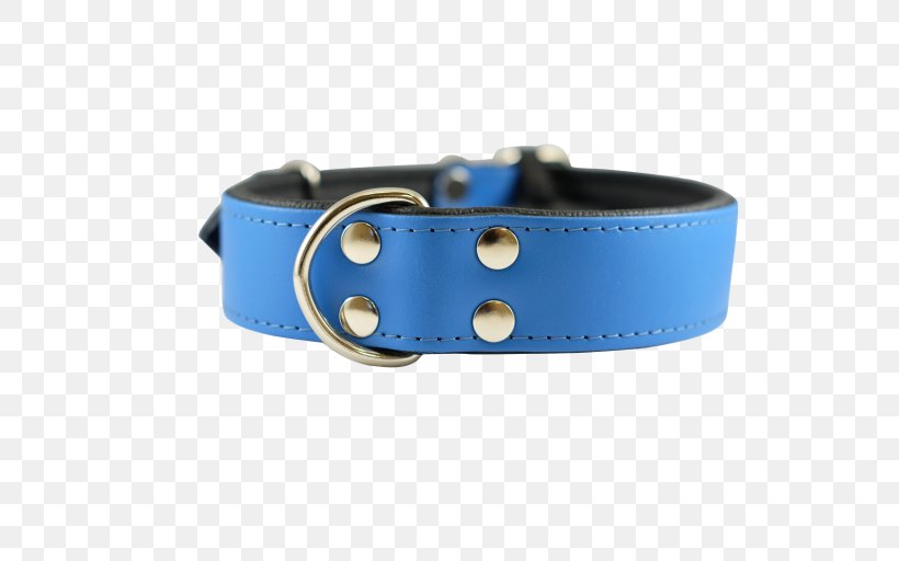 Belt Dog Collar, PNG, 768x512px, Belt, Blue, Bracelet, Collar, Dog Download Free