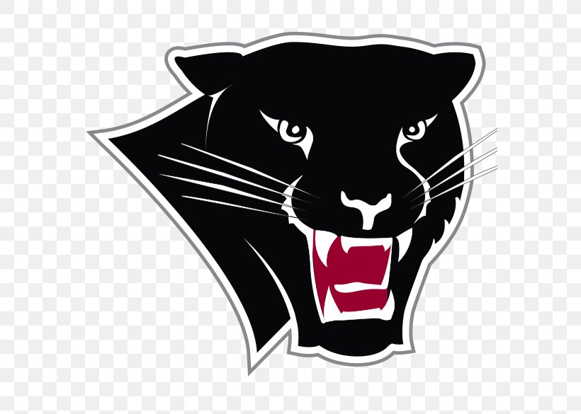 Florida Institute Of Technology Florida Tech Panthers Football Florida Tech Panthers Women's Basketball Florida Southern College Florida Tech Panthers Men's Basketball, PNG, 585x585px, Florida Institute Of Technology, Big Cats, Black, Black And White, Black Panther Download Free