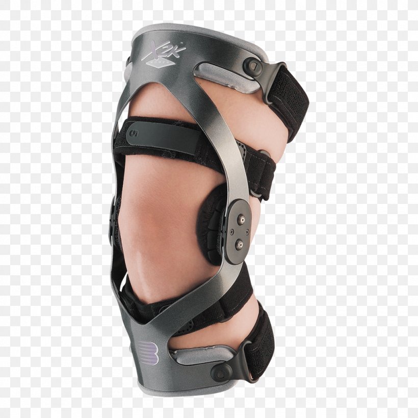 Knee Back Brace Orthotics Anterior Cruciate Ligament, PNG, 1024x1024px, Knee, Anterior Cruciate Ligament, Anterior Cruciate Ligament Injury, Arm, Back Brace Download Free