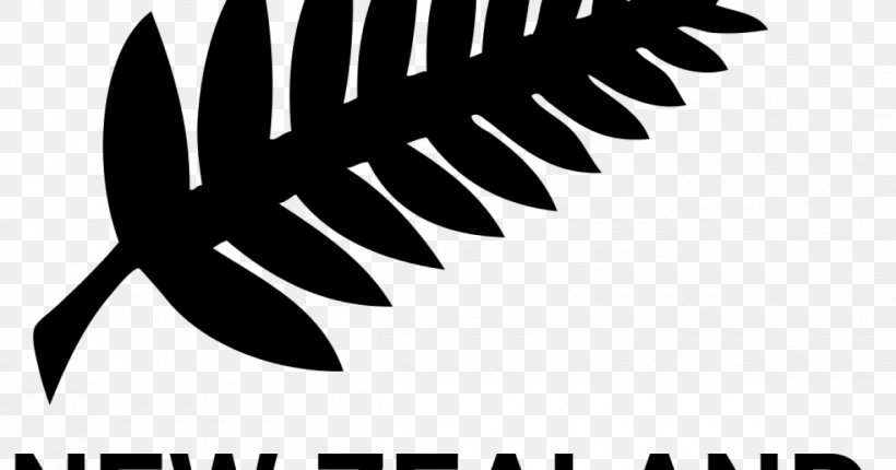 New Zealand National Football Team Oceania Football Confederation Wellington Olympic AFC New Zealand Football, PNG, 1200x630px, New Zealand National Football Team, Black And White, Brand, Capital Football, Football Download Free