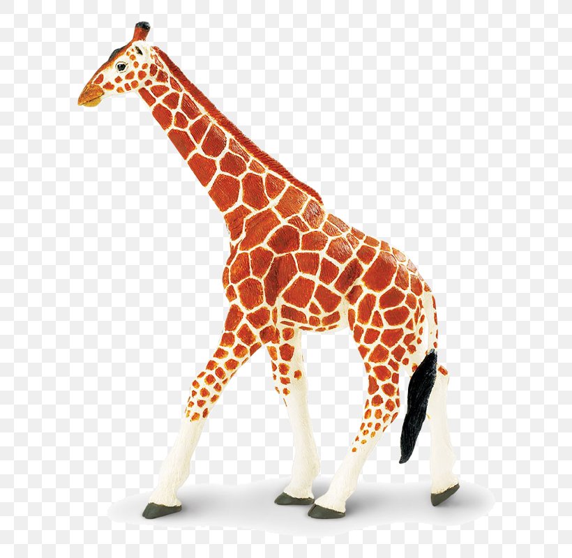 Reticulated Giraffe Toy Wildlife Safari Ltd Animal Figurine, PNG, 800x800px, Reticulated Giraffe, Amazoncom, Animal, Animal Figure, Animal Figurine Download Free