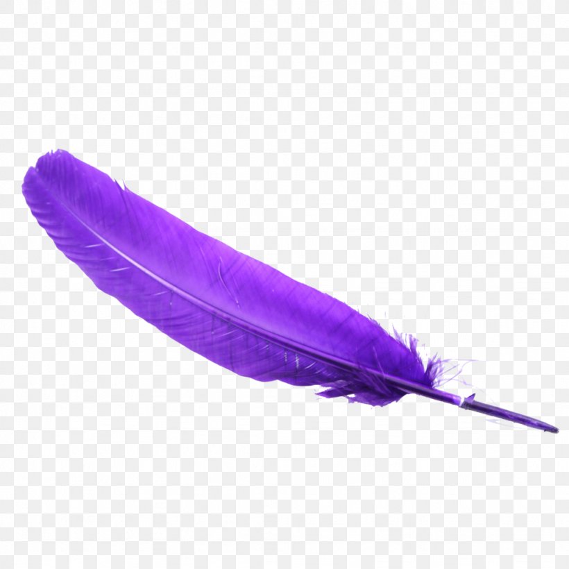 Feather Bird, PNG, 1024x1024px, Bird, Color, Feather, Gimp, Purple Download Free