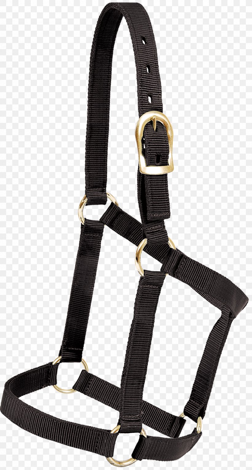 Horse Welsh Pony And Cob Halter Nylon Lead, PNG, 900x1680px, Horse, Bag, Bronc Riding, Buckle, Climbing Harness Download Free