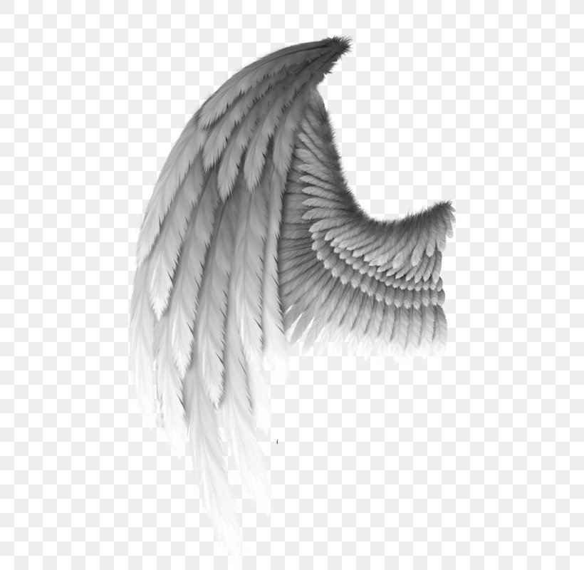 Angel Clip Art, PNG, 473x800px, Angel, Black And White, Close Up, Devil, Drawing Download Free