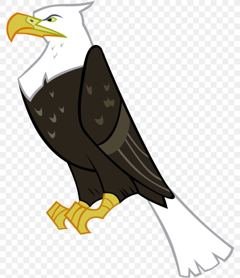 Bird Bald Eagle Eagle Kite Bird Of Prey, PNG, 782x951px, Bird, Accipitridae, Bald Eagle, Beak, Bird Of Prey Download Free