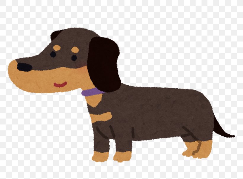 Dachshund Dog Breed Puppy Cat Black & Gold, PNG, 800x604px, Dachshund, Animal, Animal Figure, Black Gold, Blog Download Free