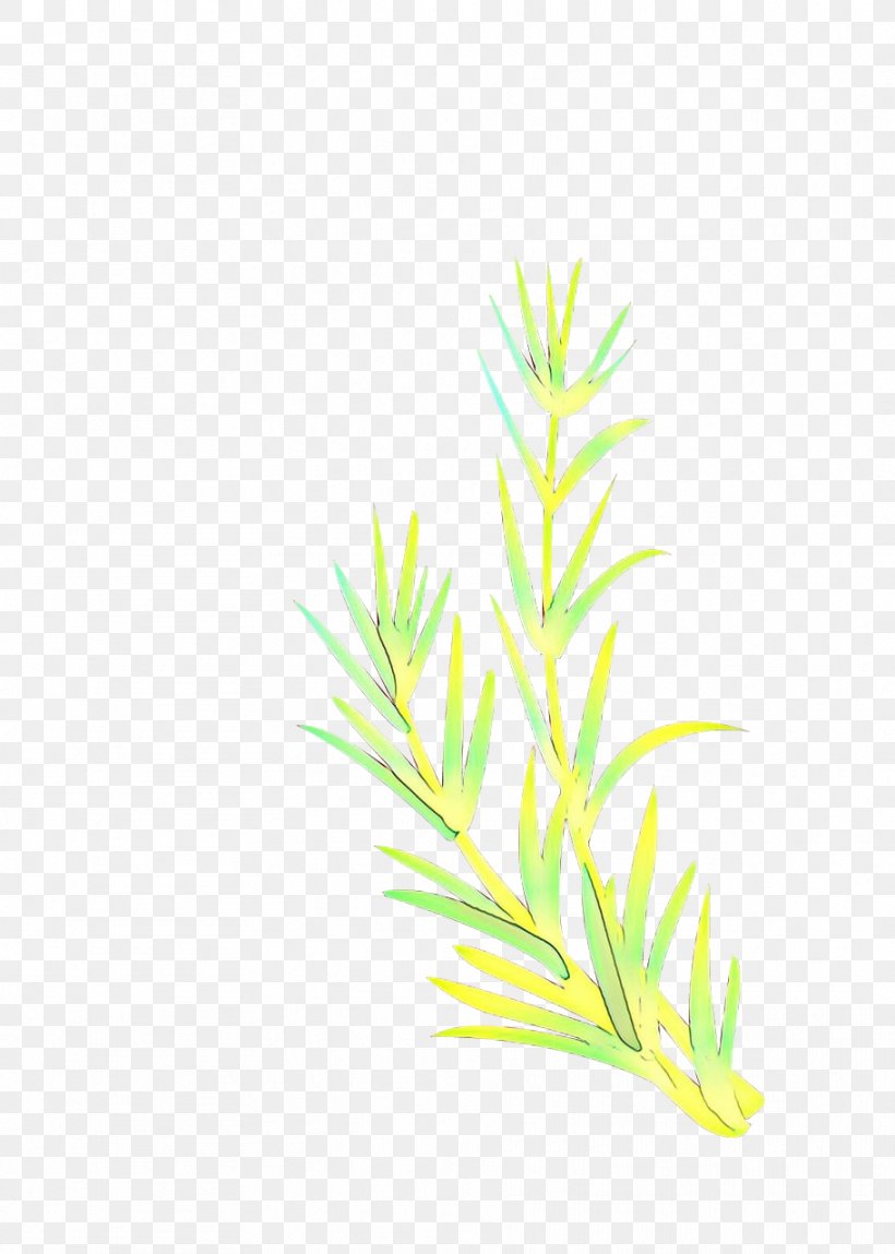 Green Grass Background, PNG, 911x1277px, Cartoon, American Larch, Aquarium, Aquarium Decor, Branch Download Free