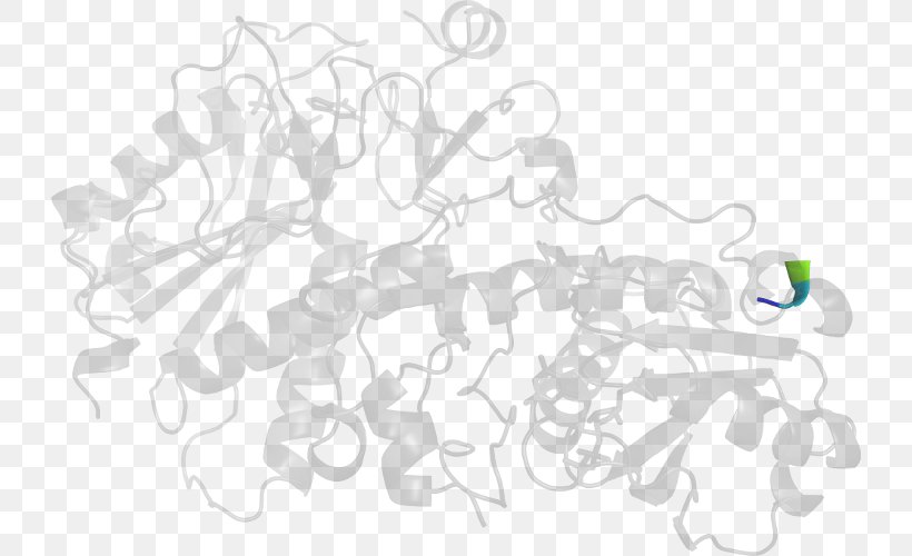 H&M Clip Art, PNG, 728x500px, White, Area, Black And White, Branch, Hand Download Free
