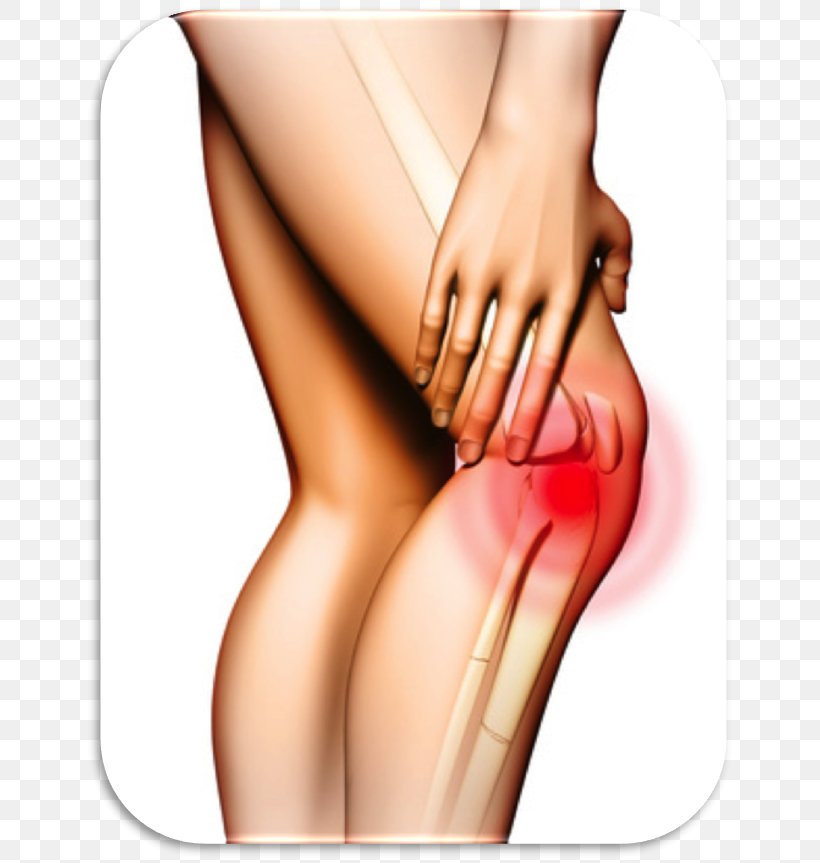Knee Pain Pain Management Iliotibial Band Syndrome Healing, PNG, 655x863px, Watercolor, Cartoon, Flower, Frame, Heart Download Free