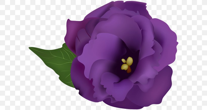 Pansy Violet Clip Art, PNG, 600x437px, Pansy, Cut Flowers, Flower, Flowering Plant, Lilac Download Free