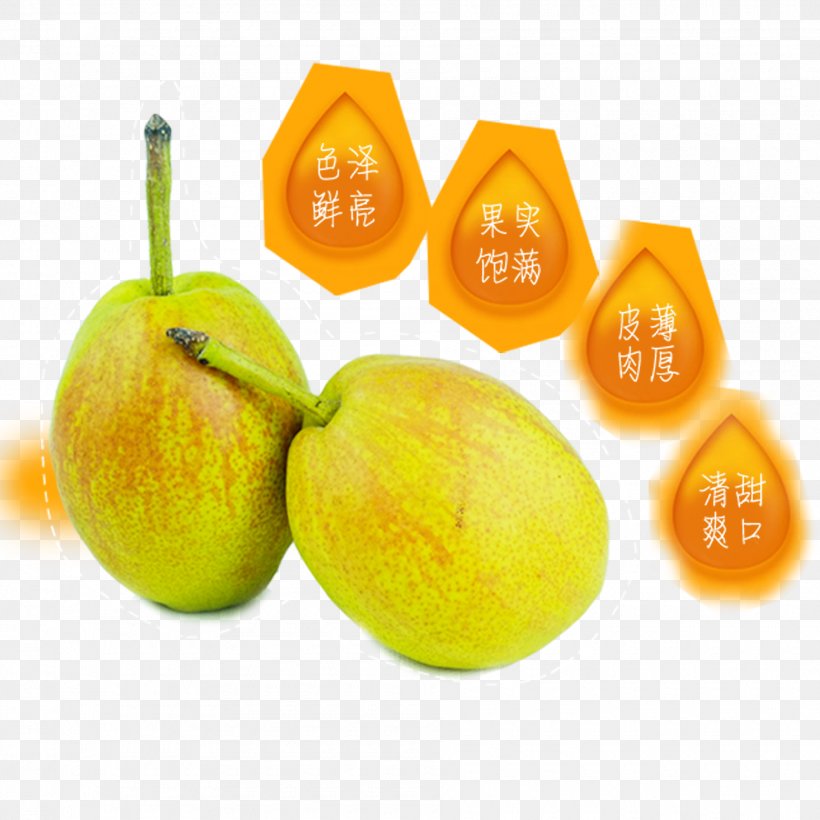 Tangelo Pear Fruit Food, PNG, 1890x1890px, Pear, Auglis, Citric Acid, Citrus, Diet Food Download Free