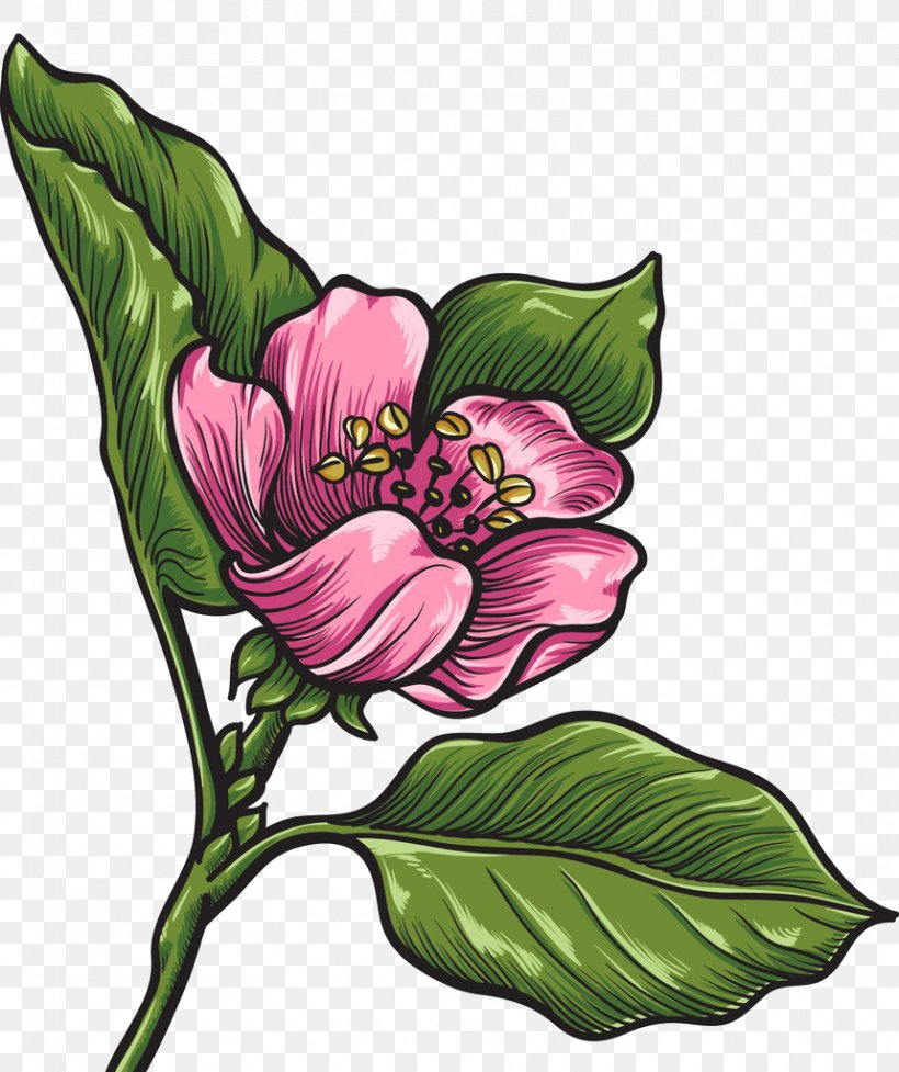 Vector Graphics Drawing Image Design, PNG, 859x1024px, Drawing, Art, Cut Flowers, Flora, Floral Design Download Free