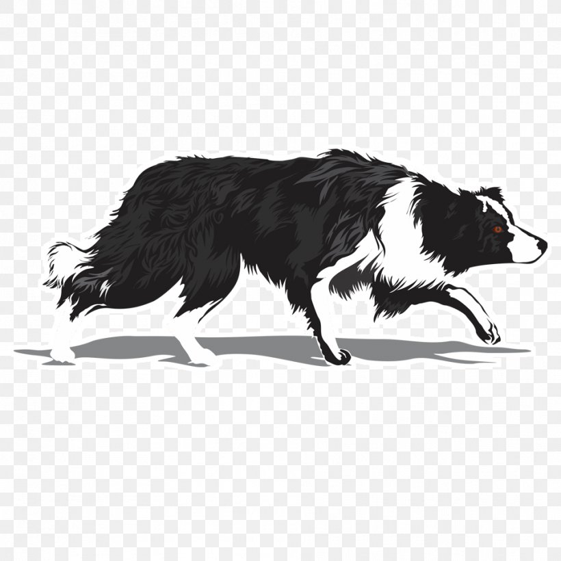 Border Collie Rough Collie Scotch Collie Chihuahua Golden Retriever, PNG, 958x958px, Border Collie, Black And White, Breed, Carnivoran, Chihuahua Download Free