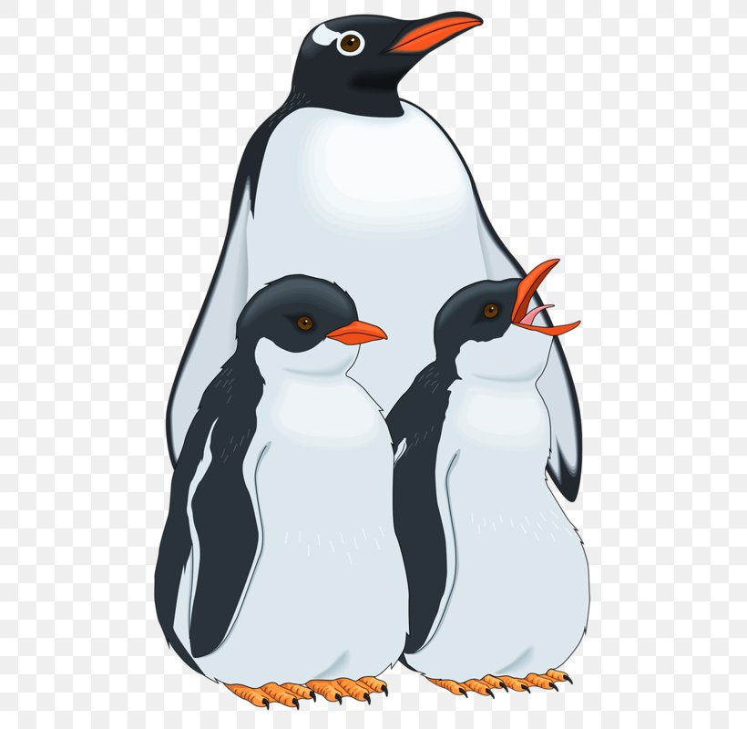 Penguin Clip Art, PNG, 510x800px, Penguin, Beak, Bird, Can Stock Photo, Family Download Free