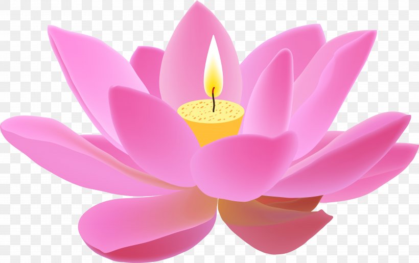 Pink Flower Cartoon, PNG, 4885x3073px, Nymphaea Nelumbo, Aquatic Plant, Candle, Egyptian Lotus, Flower Download Free