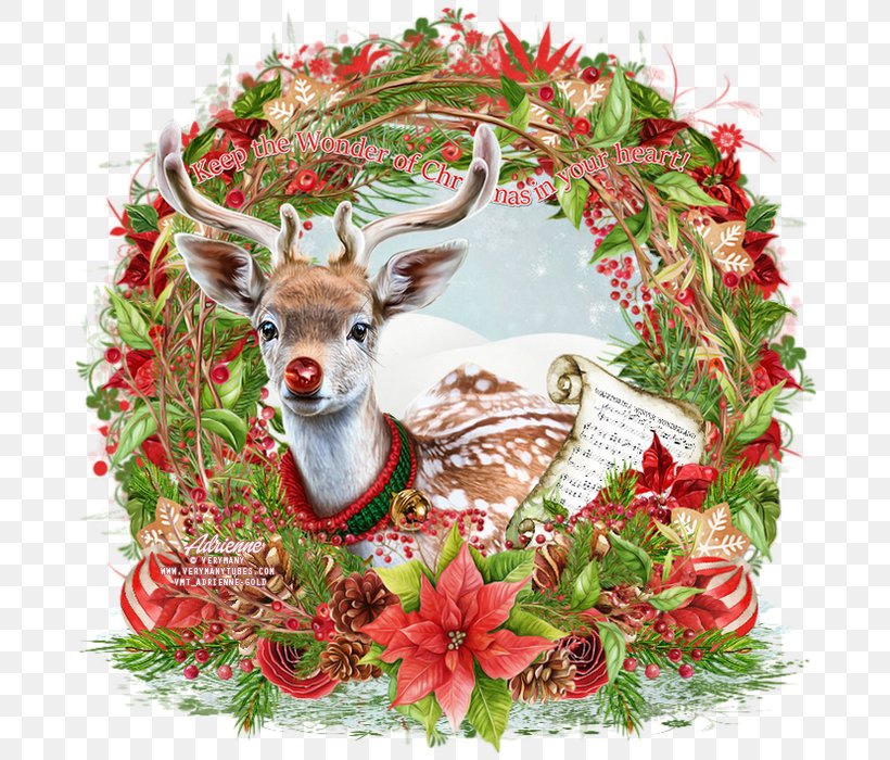 Reindeer Rudolph December Christmas Ornament Whimsical, PNG, 700x700px, 2017, Reindeer, Christmas, Christmas Decoration, Christmas Ornament Download Free