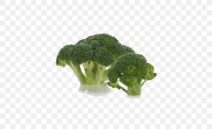 Broccoli Vegetable, PNG, 500x500px, Broccoli, Cucumber, Food, Leaf Vegetable, Resource Download Free