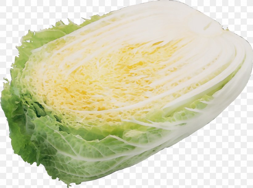 Cabbage Food Iceburg Lettuce Lettuce Savoy Cabbage, PNG, 1885x1402px, Watercolor, Cabbage, Chinese Cabbage, Food, Iceburg Lettuce Download Free