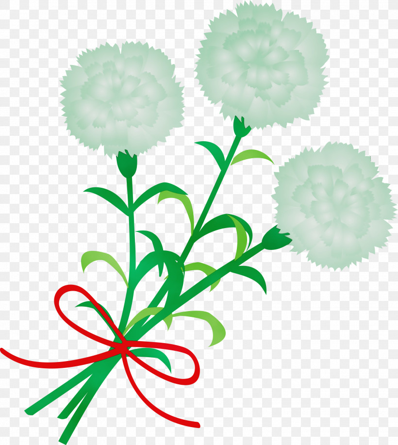 Green Flower Plant Leaf Cut Flowers, PNG, 2682x3000px, Mothers Day Carnation, Cut Flowers, Flower, Green, Leaf Download Free
