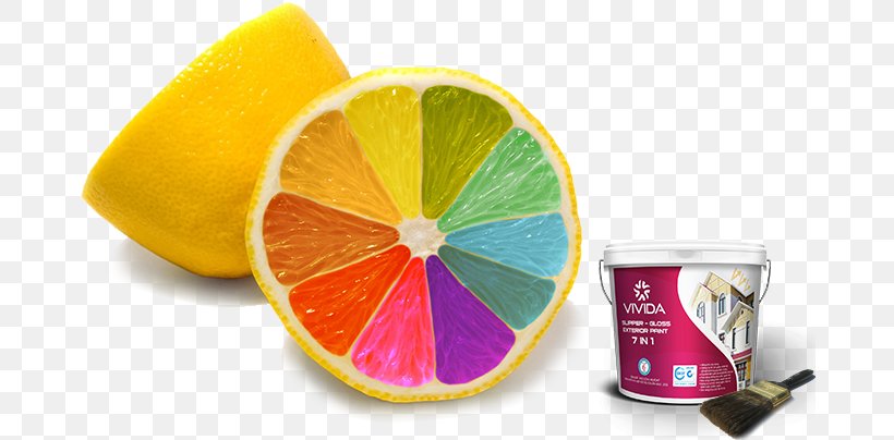 Image Food Coloring International Colour Day Art, PNG, 676x404px, Color, Art, Citric Acid, Citrus, Drawing Download Free