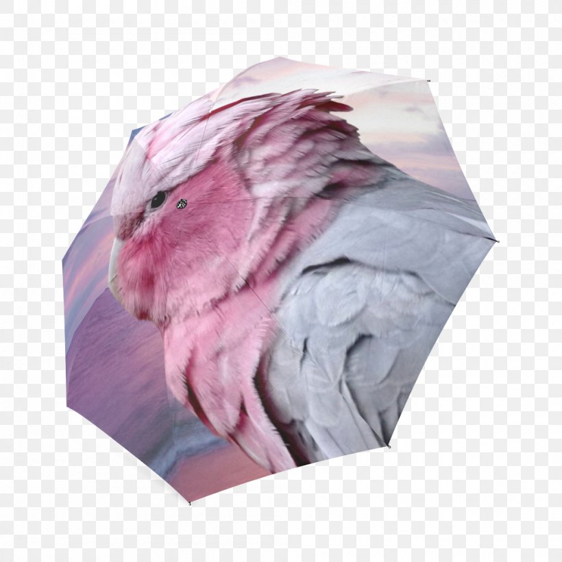 IPhone 6 Galah Cockatoo Umbrella Pink M, PNG, 1000x1000px, Iphone 6, Cockatoo, Duvet, Galah, Gum Trees Download Free