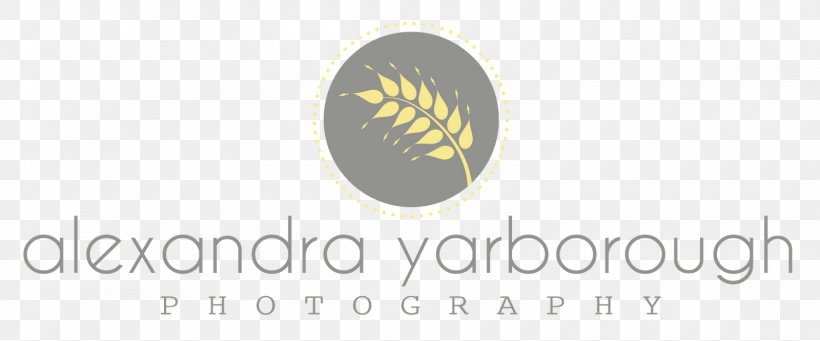 Logo Brand Photography Photographer, PNG, 1600x667px, Logo, Brand, Com, Creativity, Photographer Download Free