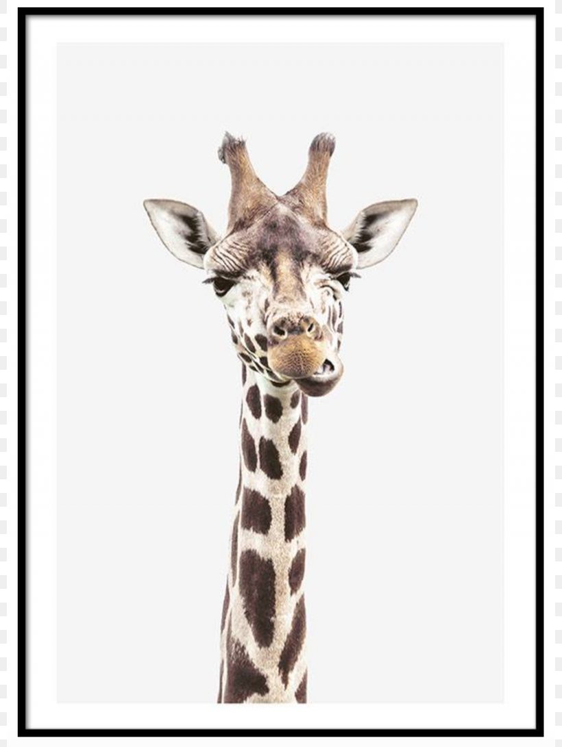 Reticulated Giraffe Okapi Poster Printmaking, PNG, 800x1091px, Reticulated Giraffe, Art, Canvas Print, Cuteness, Fauna Download Free