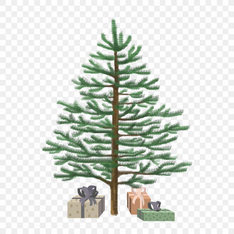 Spruce Christmas Ornament Fir Christmas Tree Pine, PNG, 1000x1000px, Spruce, Christmas, Christmas Decoration, Christmas Ornament, Christmas Tree Download Free