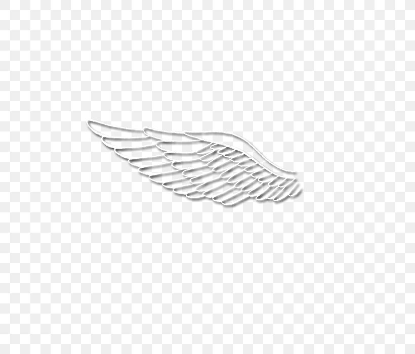 Feather White Line Wing Angle, PNG, 700x700px, Feather, Bird, Black And White, Monochrome, White Download Free