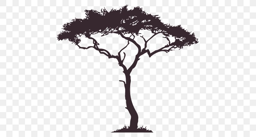 Silhouette African Trees, PNG, 707x440px, Silhouette, Africa, African Trees, Black And White, Branch Download Free