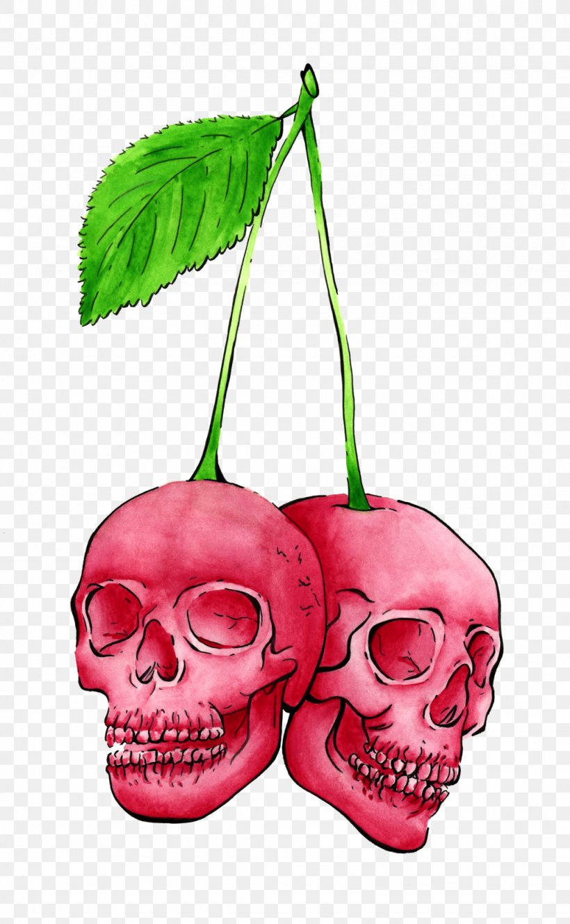 Skull Cherry Bone Food Clip Art, PNG, 1024x1660px, Skull, Bone, Cherry, Flower, Flowering Plant Download Free