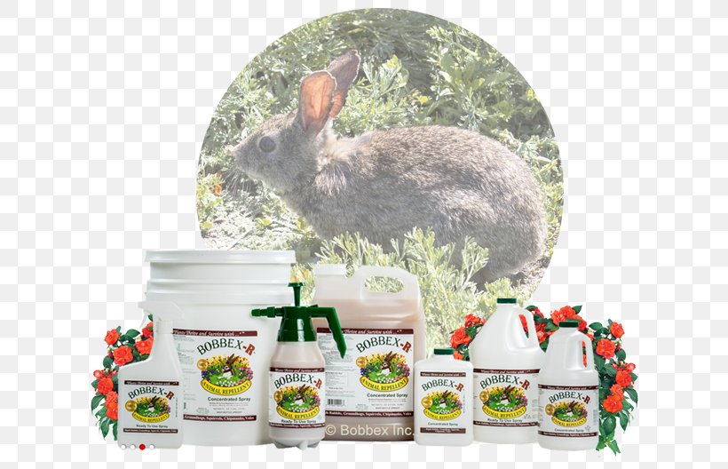 Squirrel Rabbit Bobbex Deer Repellent 32 Oz. Ready To Use Spray B550110 Groundhog Household Insect Repellents, PNG, 652x528px, Squirrel, Animal, Chipmunk, Deer, Fauna Download Free