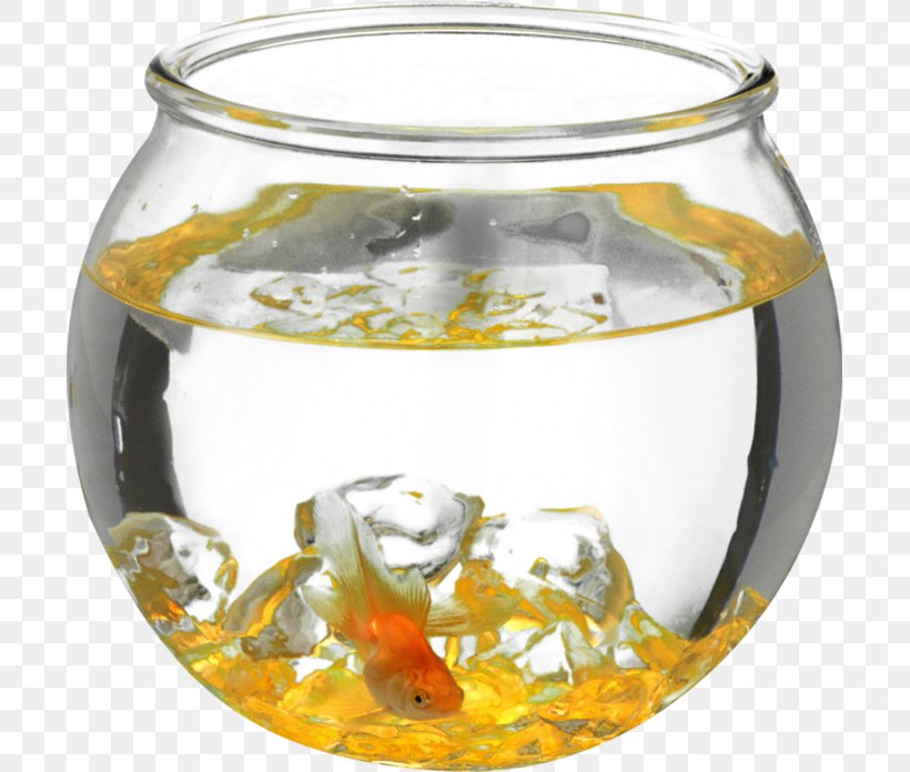 Aquarium Goldfish Ornamental Fish, PNG, 699x696px, Aquarium, Drinkware, Fish, Fishkeeping, Glass Download Free
