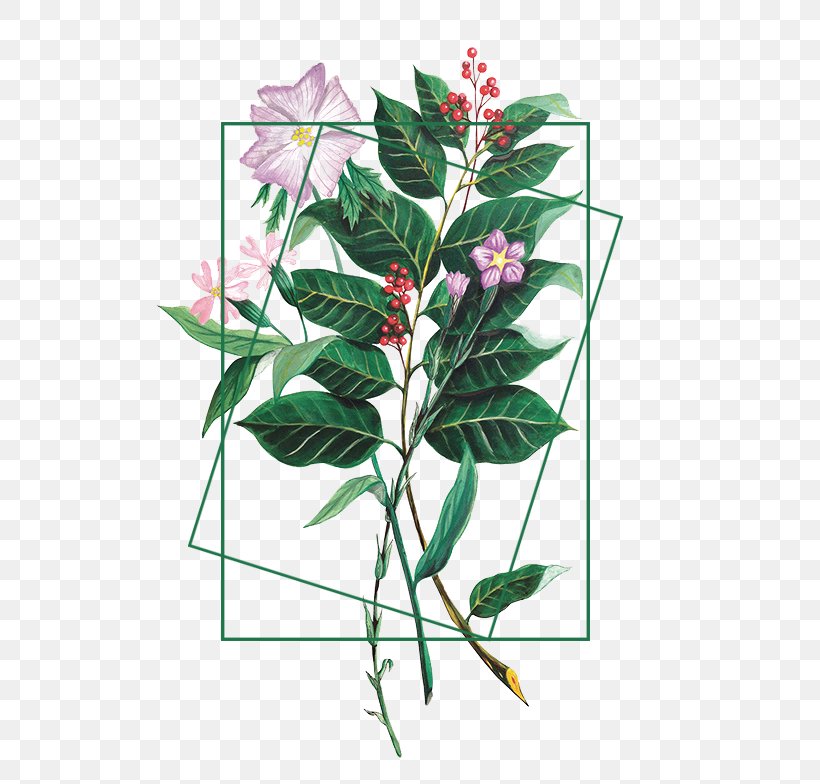 Flower Plant Illustration, PNG, 600x784px, Flower, Branch, Flora, Flowering Plant, Flowerpot Download Free
