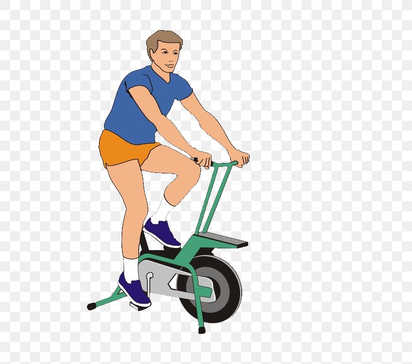 Physical Fitness Exercise Equipment Physical Exercise Bodybuilding Endurance, PNG, 528x724px, Physical Fitness, Anaerobic Exercise, Area, Bicycle, Bicycle Accessory Download Free